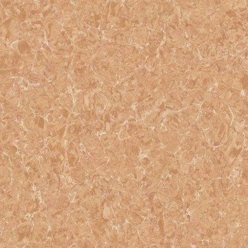 Luxury Pilates Polished Porcelain Tile