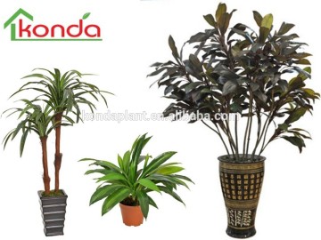 Hot selling artificial plants and trees,artificial bonsai tree,indoor ornamental plants,evergreen ornamental plants