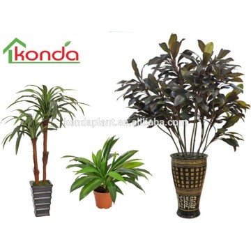 Hot selling artificial plants and trees,artificial bonsai tree,indoor ornamental plants,evergreen ornamental plants