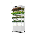 Indoor smart garden hydroponic intelligent vertical farming