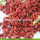 Bekalan Kilang Buah-buahan kering kering Goji Berry