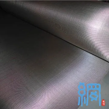 Stainless Steel Woven Wire Cloth (3-635 Mesh)