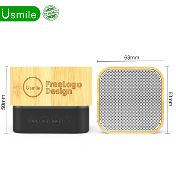 OEM ODM Cheap Eco-Friendly Wireless BT Rechargeable Mini Speaker
