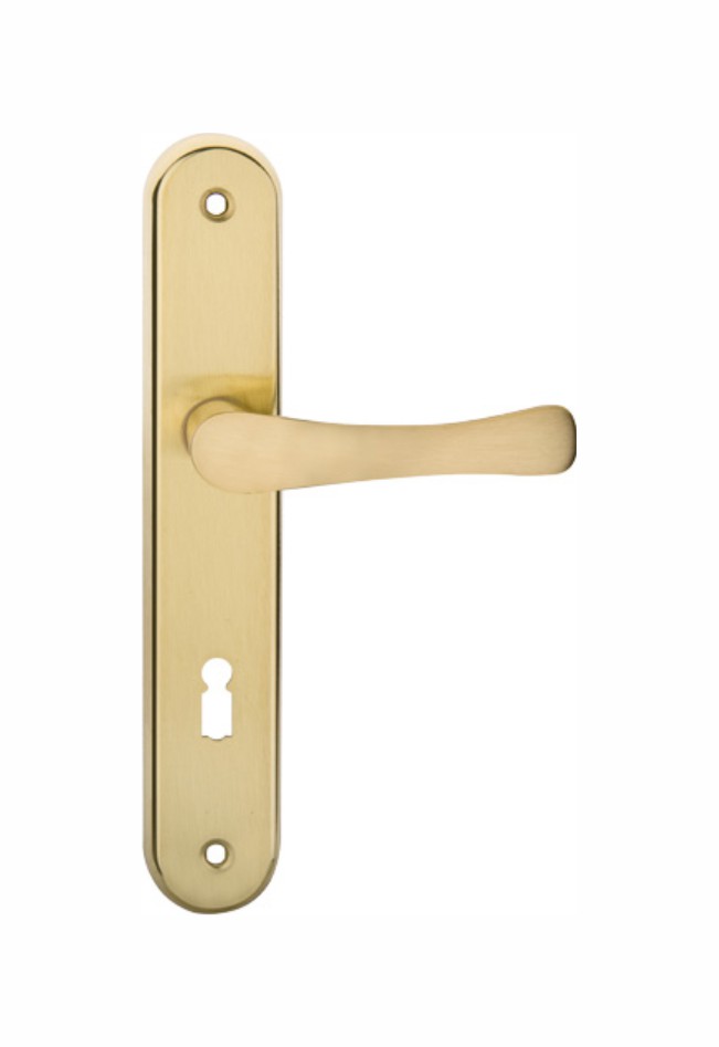 Mortise aluminum and iron lever handle