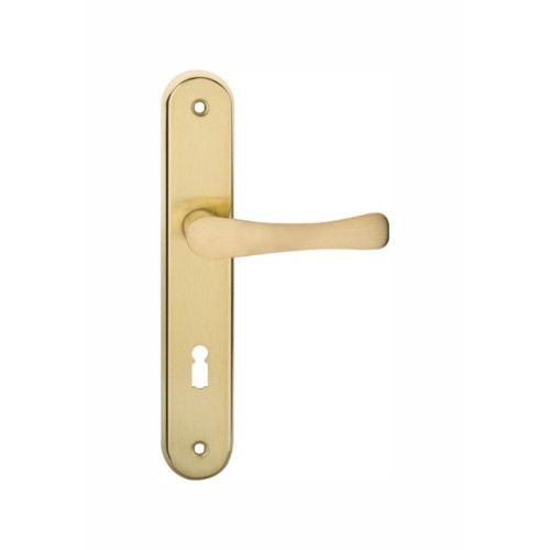 Mortise aluminum and iron lever handle