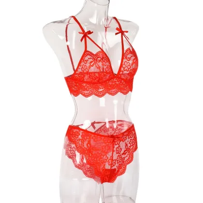 Sexy Lace Hollow Transparent Large Size Women's Underwear Set