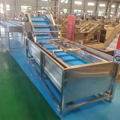 Customizable DY Bubble Ozone Vegetable Washing Machine