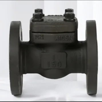 2022 API Swing Check Valve