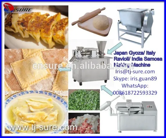 Japan Gyoza Italy Ravioli India Samosa Making Machine