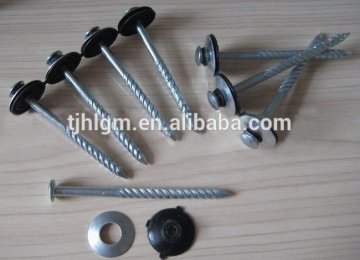 Ring shank screw nail/twisted nail