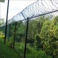 Razor Barbed Wire Mesh/Razor Barbed Wire CBT-65