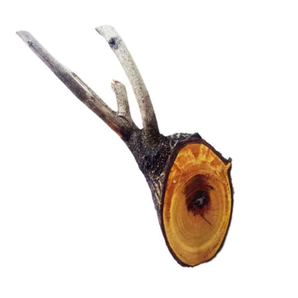 Water Resistance Tung Oil Yellow Pine Floor