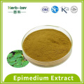 10% Epimediumextrakt Epimedium Flavon