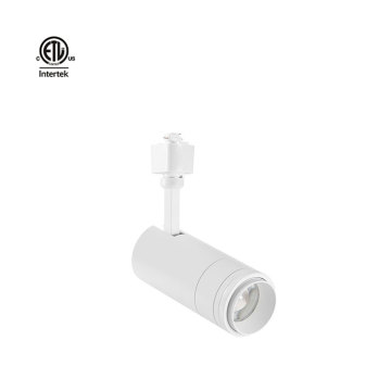 Serie Leica Daytonled ETL CETL Certified Track Heads: H-Type, J-Type, L-Type, CRI90, CRI97, 15W-30W Zoom