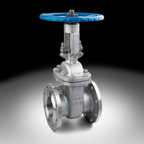 Stainless Steel Gate Valve