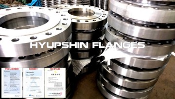ANSI B16.5 B16.47 Weld Neck Flange RTJ