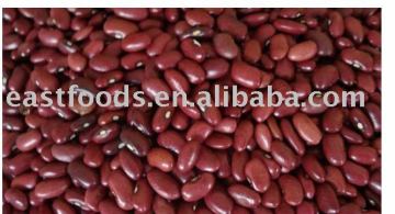 Canada Red Kidney Beans