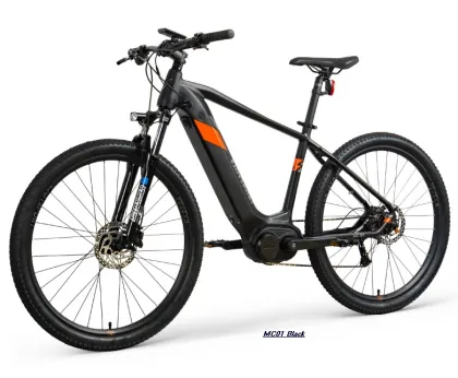 EU Warehouse Mens Electric Bike