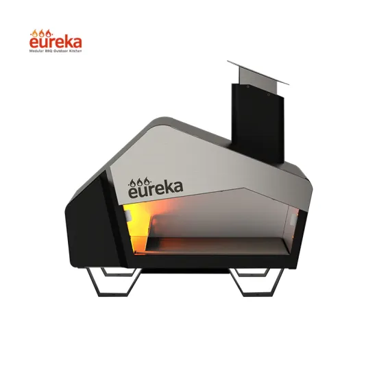 Stainless Steel Dual Fuel Pizza Baking Oven Gas Out Door Pizza Oven with Door