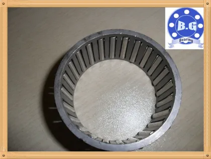 Timken/iko/ina Needle Roller Bearing Rna6919