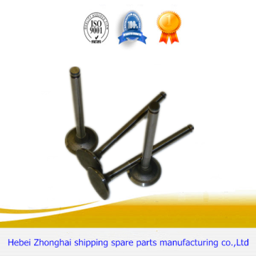 LADA Diesel Spare Engine Valve