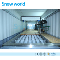 Snow world 10T Containerize Block Macchina per il ghiaccio