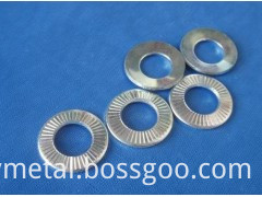 Stainless Conical Washer