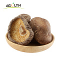 OEM Factory price Dried Shiitake Mushrooms High Quality Dried Mushrooms