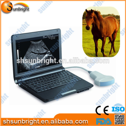 portable laptop veterinary ultrasound & ultrasound for animal