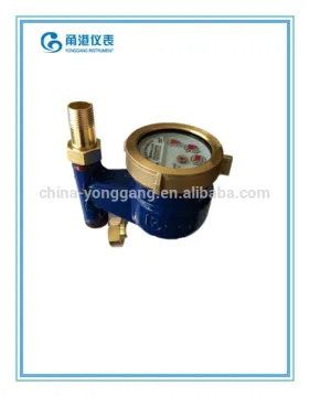 DN25mm vertical water meter/meter/flow water meter/cast iron body