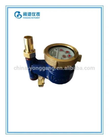 DN25mm vertical water meter/meter/flow water meter/cast iron body