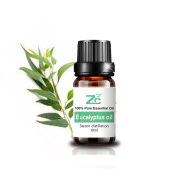 Eucalyptus Essential Oil Wholesale Insect Mosquito Repellent