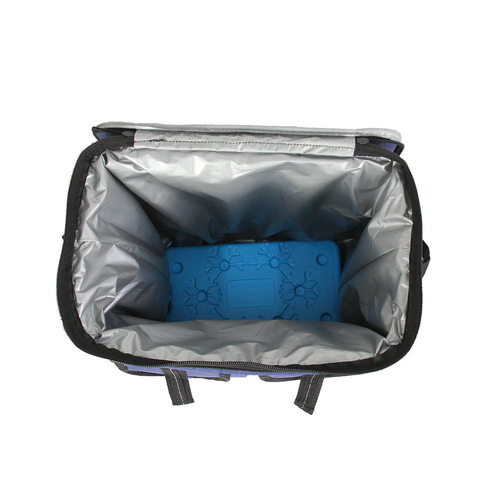 Extra zak Ice Pack Cooling Carry Cooler Bag