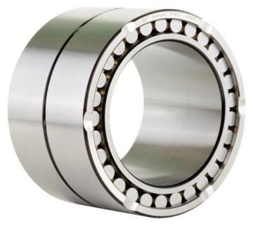 Double Row Cylindrical Roller Bearing (NN3092K/W33)