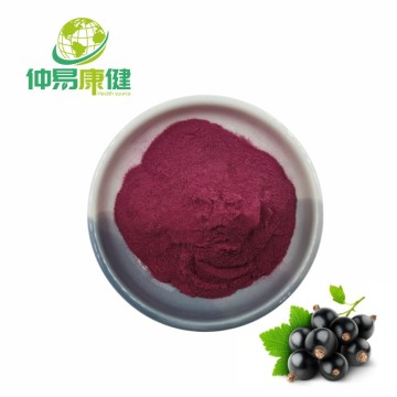 Black Currant Extract Powder
