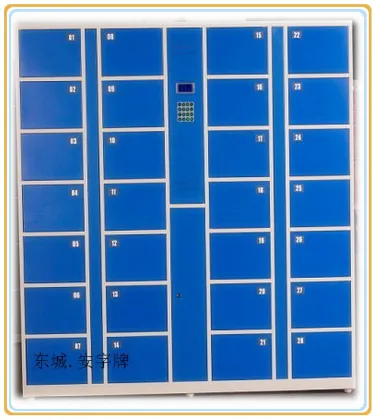 Office File Lockers (DKC)