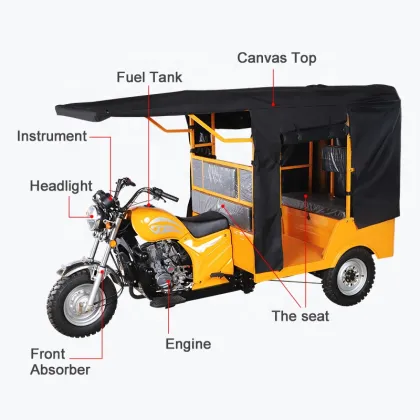 Small Lightweight Motorized Tricycle: Semi-Closed Three-Wheeled Motorcycle