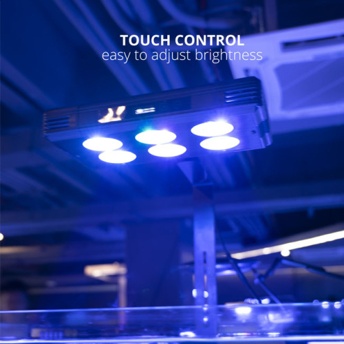 LED Aquarium Coral Reef Light mit App Control