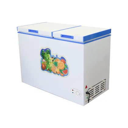 DC Solar Deep Fridge Refrigerator Freezer