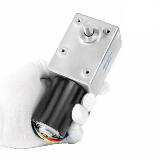 12V DC Worm Gear Motor with BLDC Motor 533rpm