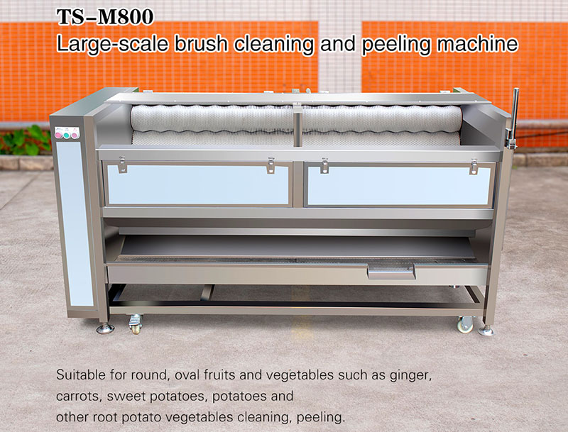 carrot cleaning machine