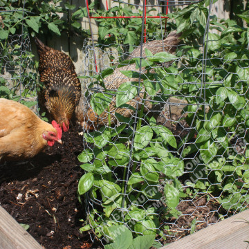 Poultry Fencing 25mm Hexagonal Wire Mesh