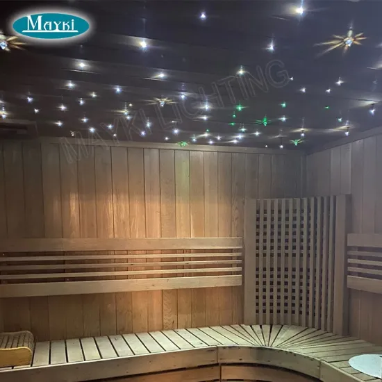 LED Twinkle Light Engine with PMMA Fiber for Sauna Fiber Optic Lighting
