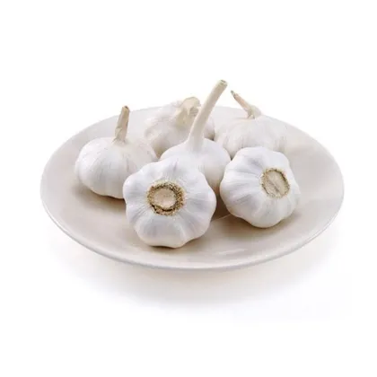 The Best Quality Shandong Origin Garlic