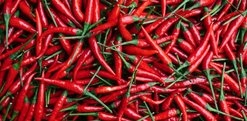 100% равғани табиии органикӣ Chilli табиӣ барои slimming