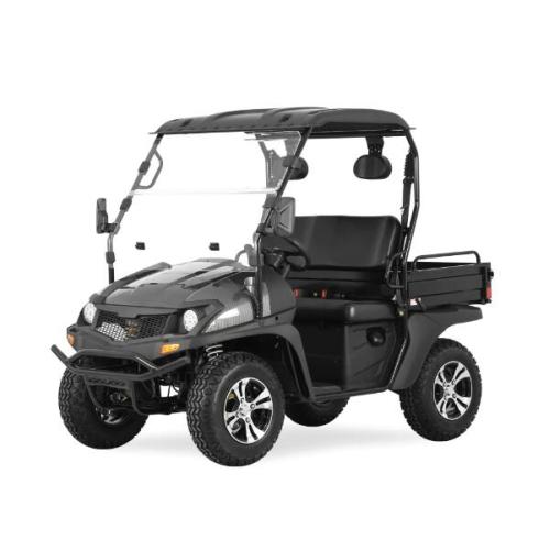 Jeep Style 200cc EFI UTV com EPA