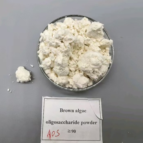 مصنع إليكيتور براون ألجينات أوليجوساكاريدس AOS