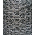 Hexagonal Netting with Electro Galvanized Electro Galvanized Hexagonal Wire Netting Supplier