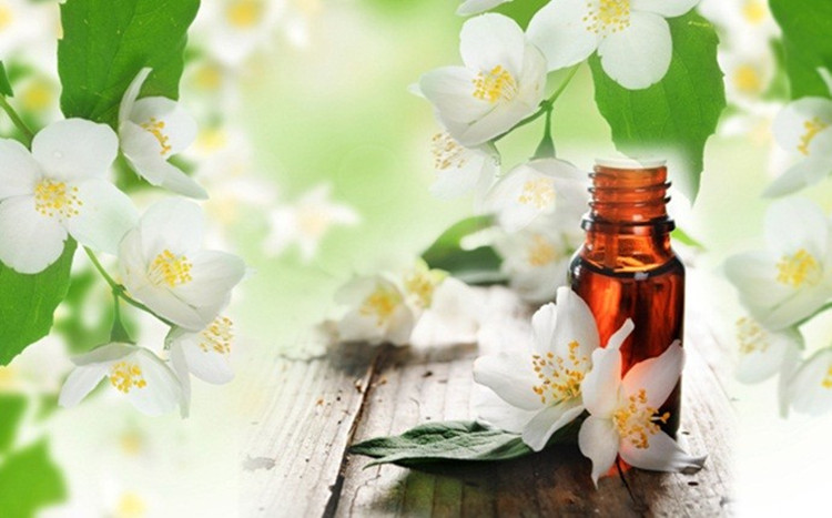 Pure Jasmine Fragrance Essential Oil