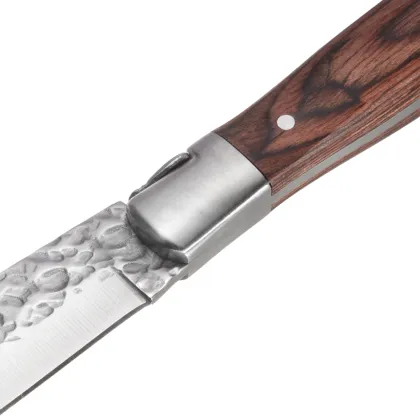 Garwin full tang laguiole steak knife